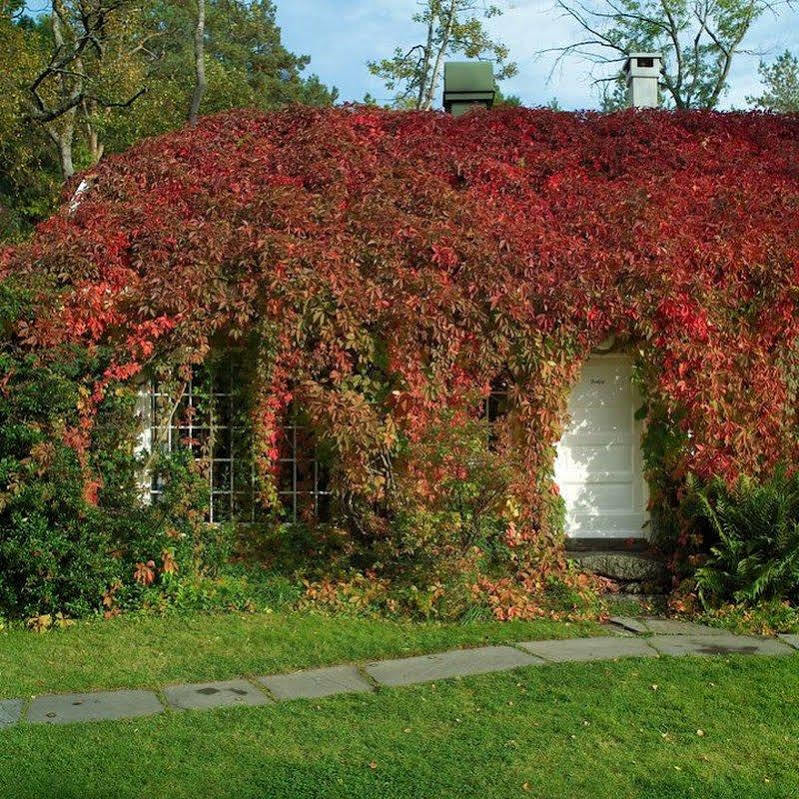 Engo Gard Hotel & Restaurant Tjøme Exteriör bild
